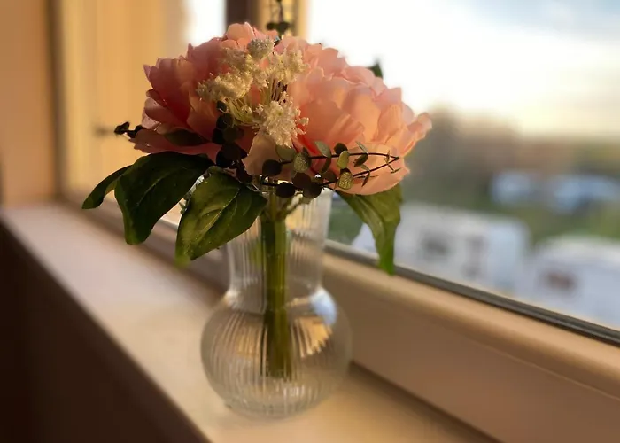 Nm Hotel apartamentowy Shkorpilovtsi